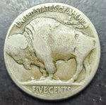 Buffalo nickel coin with a bear on a dark background