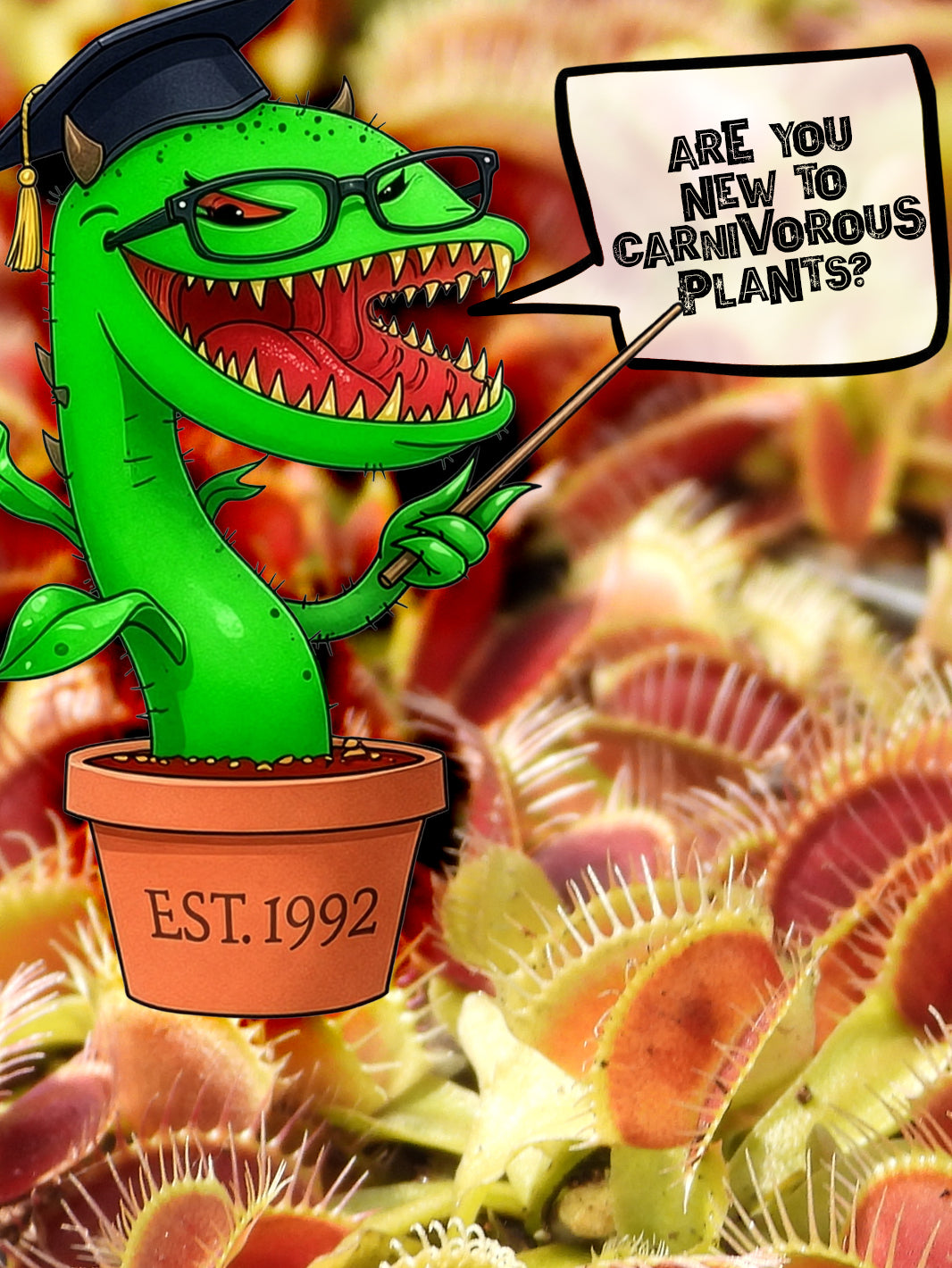 Cartoon character in a graduation cap with a Venus flytrap, holding a sign asking about carnivorous plants, with a background of more Venus flytraps.