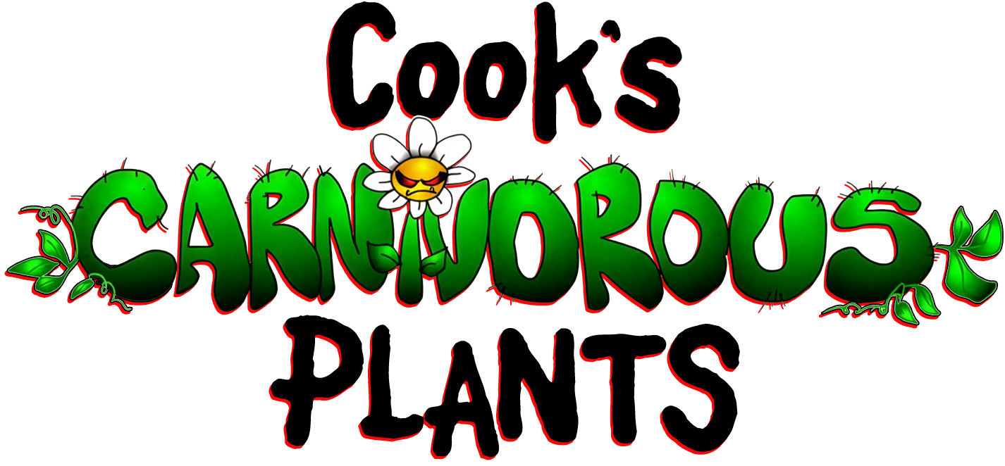 Fly Traps